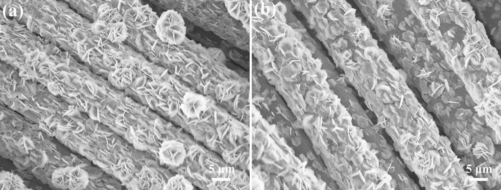Fig. S8 SEM images of Ni(PO 3 ) 2 @ACC electrodes cycled after