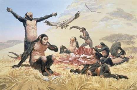 If Homo habilis was hunting animals, then we would expect: cut marks