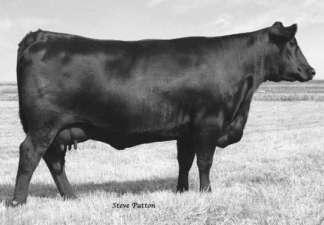 LAGRAND NEW DESIGN 1407 AND NEW FRONTIER SONS D 56 57 SIR WMS LUCY 0X80 - The dam of 59.