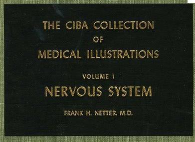 articles He continued to work on medical illustrations, then for the Swiss pharmaceutical company Ciba (which
