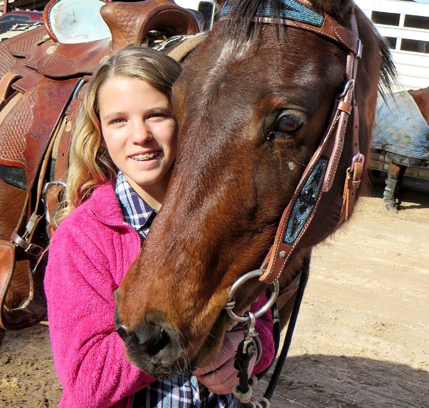 .. Home for Every Horse program after receiving 90 Sugar found her forever home through Equine.com and the A Challenge.