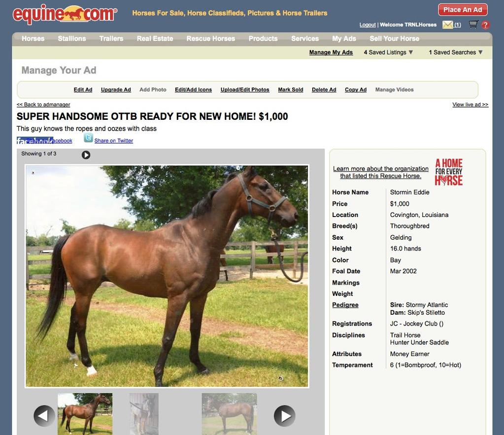 Congratulations, your ad is now complete and LIVE on Equine.
