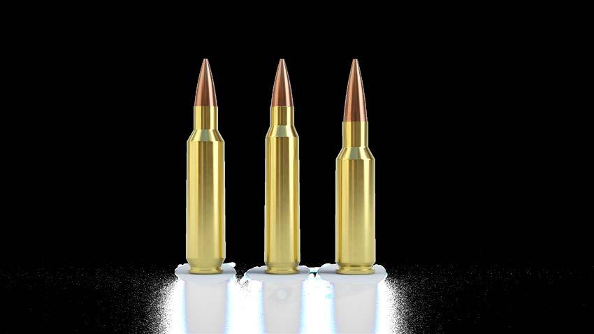 ler is the newest and most diminutive member of the Nosler cartridge family.