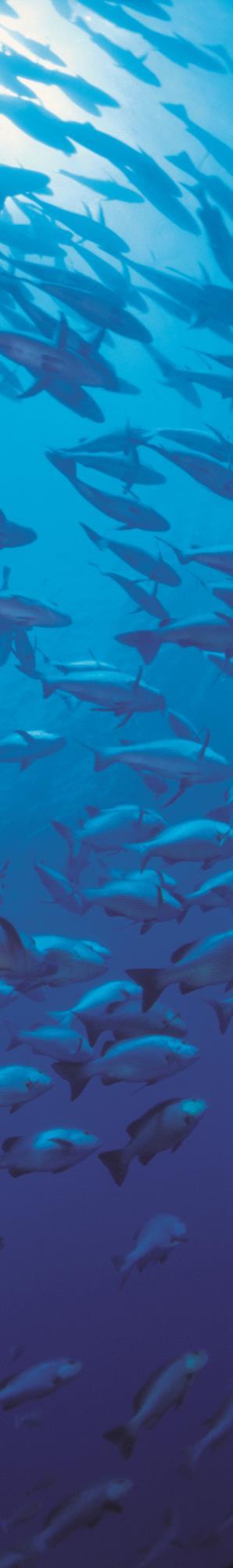 Predicting skipjack tuna dynamics and effects of climate change using SEAPODYM with fishing and tagging data Working Doc.