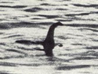 Some people think they have photographed her. A few years later she came to be the greatest thing to happen to Loch Ness. In 2008 there was a movie based on her called Water Horse.