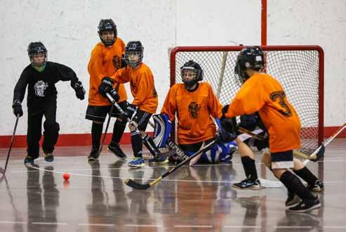 (ages 3-4-5-6) The Fall-Winter league started league play in early November, and it concluded in mid March.