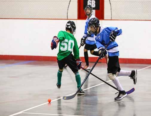 The unique thing about the registration of players for the fall-winter program, was that approx. two-thirds of the kids who played did not play winter ice-hockey.