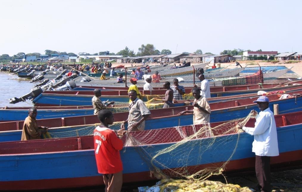 Trends in Fishing Efforts Number of fishers 80000 75000 70000 Fishing Crafts Increased by 6.