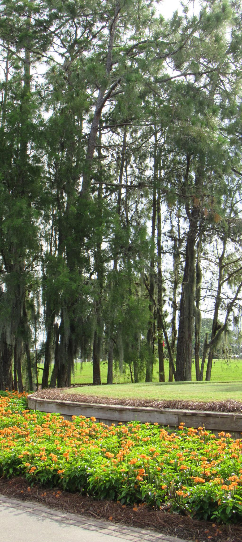 Our private golfing community is nestled among hundreds of