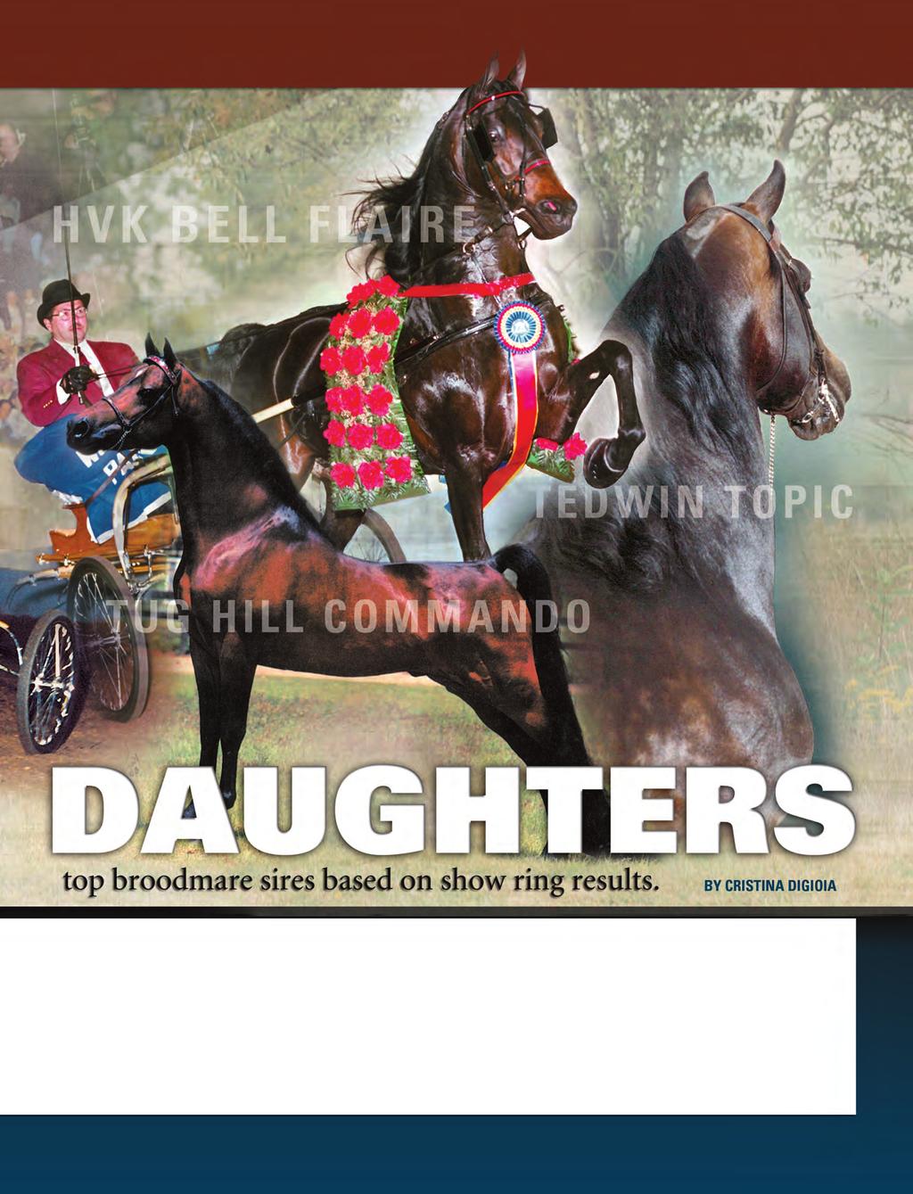 stallions have been trusted by top breeders to produce show horses of the highest caliber, so it is not surprising that their daughters are doing the same in turn.