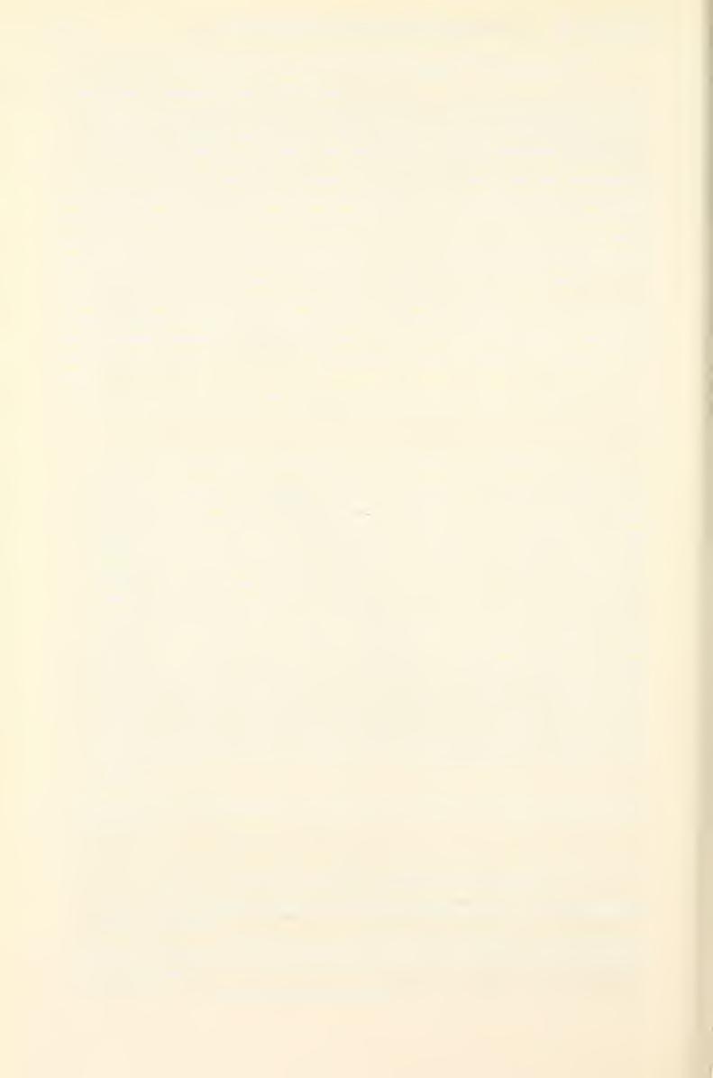 12 download STUTTGARTER Biodiversity Heritage BEITRÄGE Library, http://www.biodiversitylibrary.org/ ZUR NATURKUNDE Ser. A, Nr. 559 2.19. Gonocephalum simulathrix (Fairmaire 1891) (Figs.