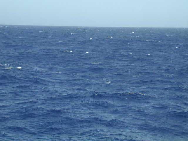 Open-ocean waves Form in the open ocean 2 Types Whitecaps Swells Whitecaps White,