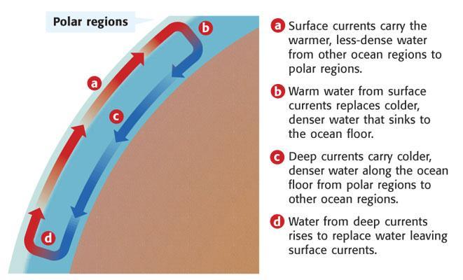 Deep Currents stream-like movement of ocean water far below surface not controlled