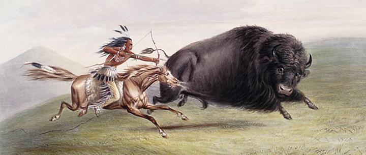 Hunting Buffalo The Plains Indians hunted and followed the