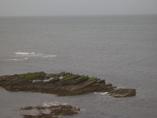 the cliff retreats, the eroded remains are gradually planed off by the sea, making a gentle sloping shelf or