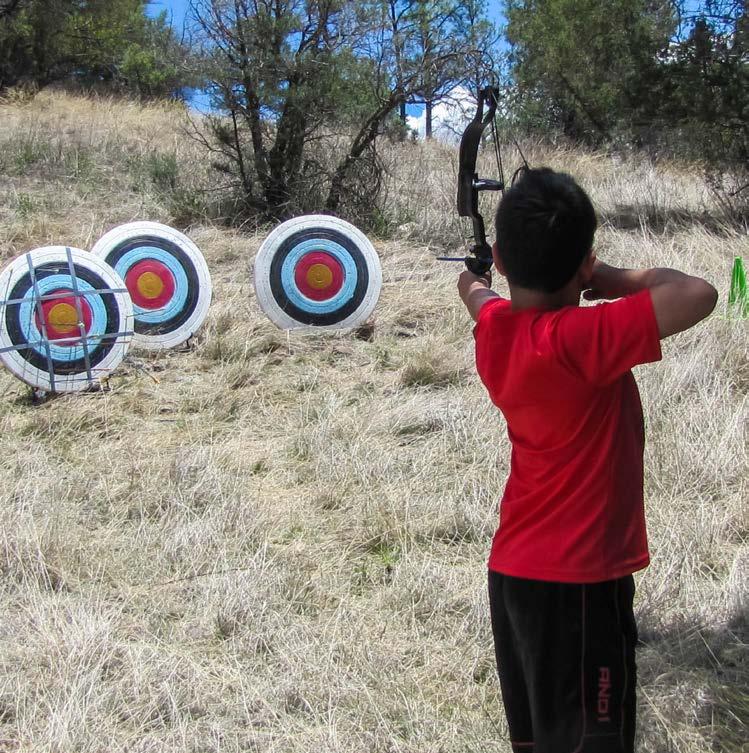 Target Shooting and Archery in 2015 A new area of estimation for the Survey was the number of target shooters with firearms and the number of archers in 2015.