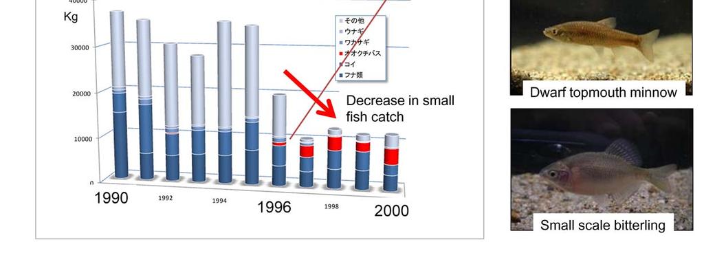 The number of largemouth bass fished has increased since 1996, while the total fishery yield has decreased rapidly.