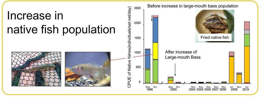 As a result of many efforts made for elimination of the large mouth bass, the number of bass is decreasing year by year.