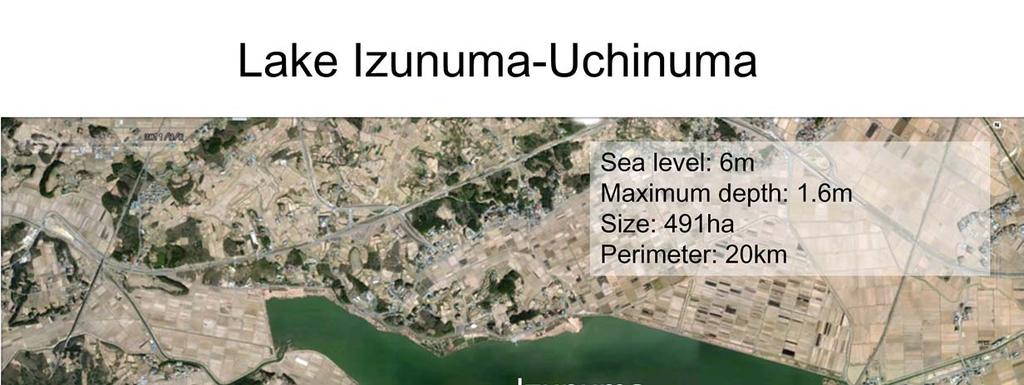 Lake Izunuma Uchinuma is a very shallow lake surrounded by rice fields. Its maximum depth is 1.