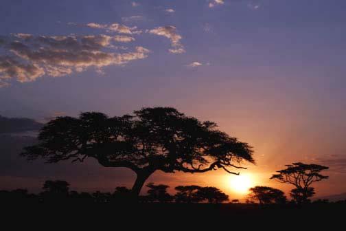 Africa is famous for it's spectacular sunrises and sunsets.
