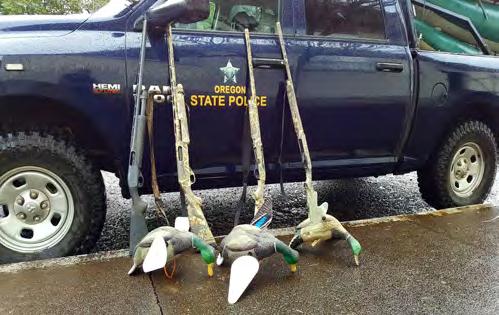 Duck Hunters Checked Exceeding Allowed Limit A F&W Senior Trooper from the Hermistion office responded to a call of late shooters on private property.