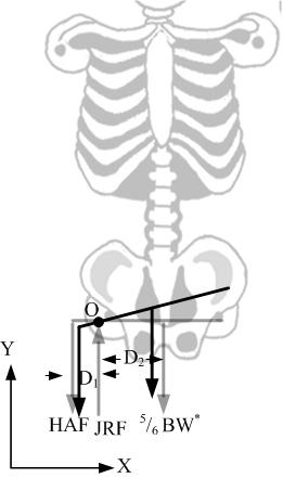 (a) (b) (c) Figure 1.5: (a) Force balance of the pelvis while standing still. (b) Force balance of the pelvis while standing still and tilting over the stance leg.