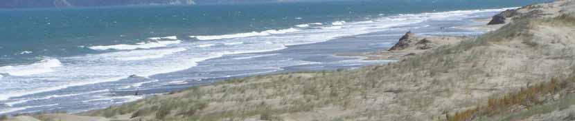 Coast Care Bay of Plenty Fact sheet 1 Beach formation and different types of beaches Different types of open ocean beaches east versus west coast Open ocean beaches vary in colour according to the