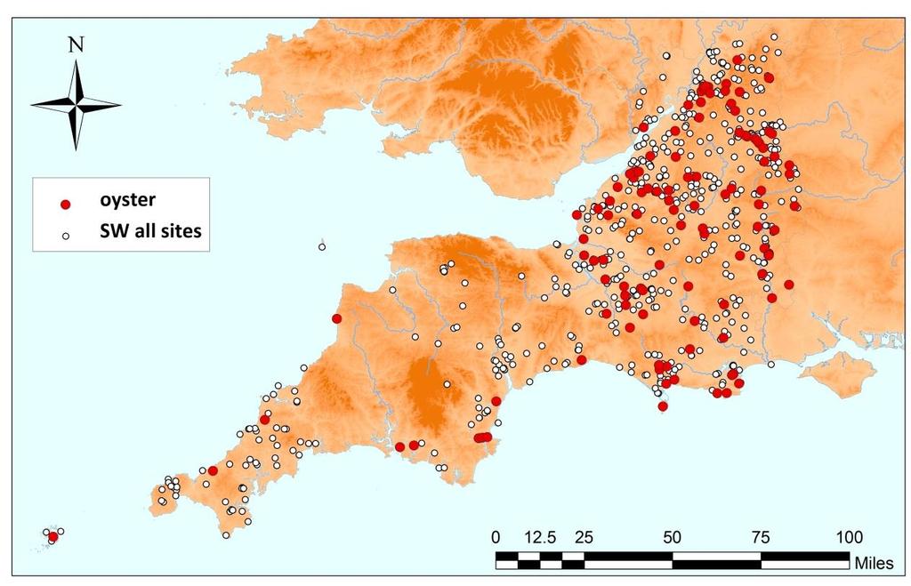 Geographic distributions of sites with oyster and mussels Oyster and mussel widespread in east