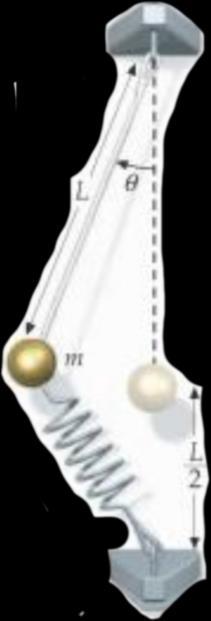 8. Pendulum: A pendulum is suspended from the ceiling and attached to a spring fixed to the floor directly below the pendulum support (see figure).