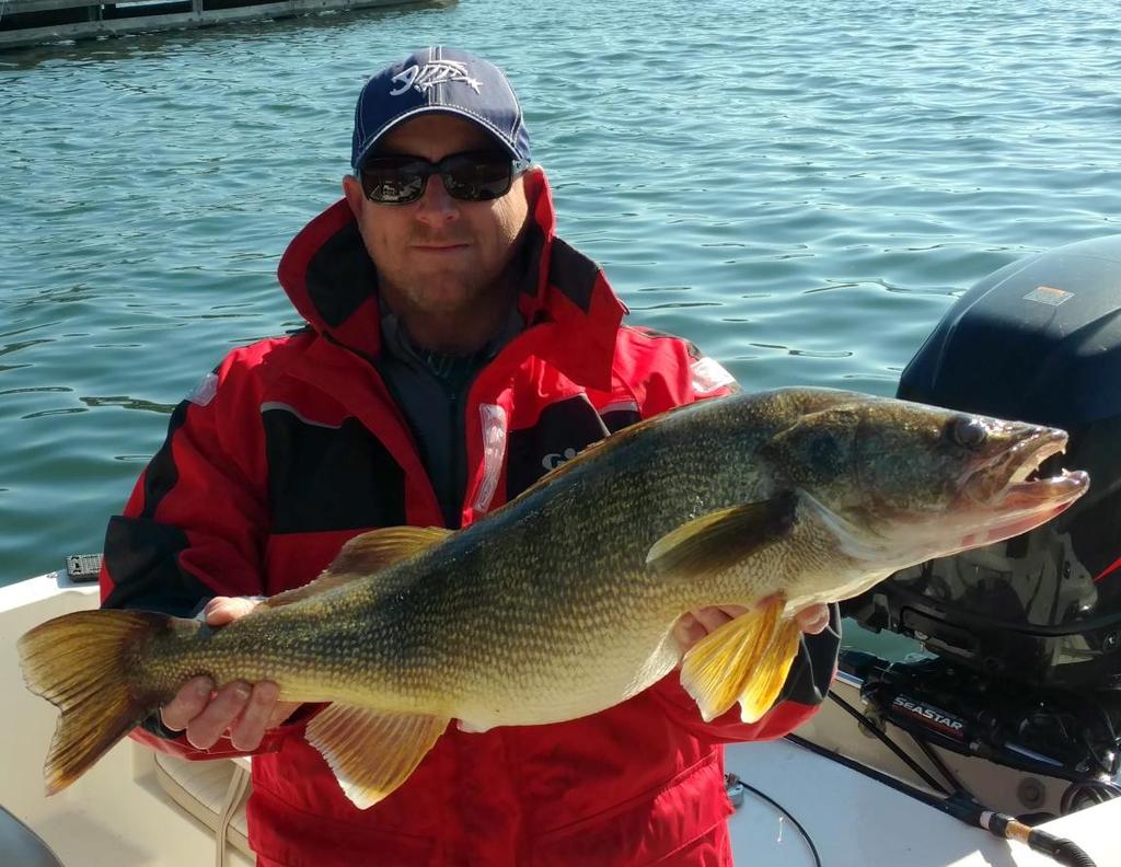 In late winter, warm rains can concentrate walleye in tributary areas of the lake. Tributary runoff is often a few degrees warmer than the main lake and sometimes more turbid in color.