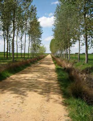 Spiritual Journeys Journey through the Countryside A Modern Pilgrimage El Camino de Santiago Compostela Our guide vehicles carry your luggage as you walk along the Camino, and are nearby should you