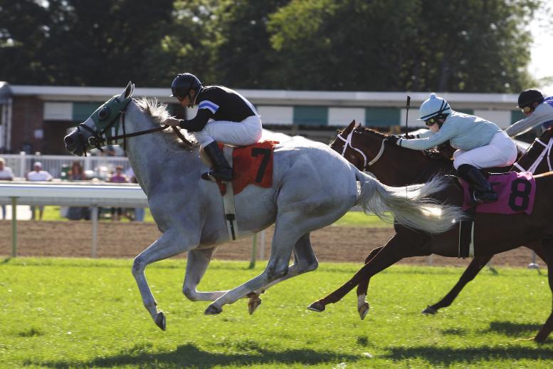 Despite arriving after the meet began and leaving early due to injury, Trujillo finished seventh in the overall Monmouth Park standings that year.