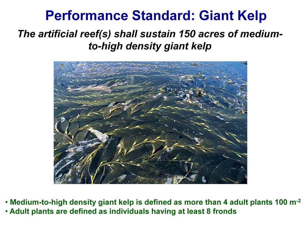 The performance standard for giant kelp requires the Wheeler North Reef to sustain 150 acres of medium-to-high density giant kelp Medium-to-high density giant kelp is defined as at least 4 adult