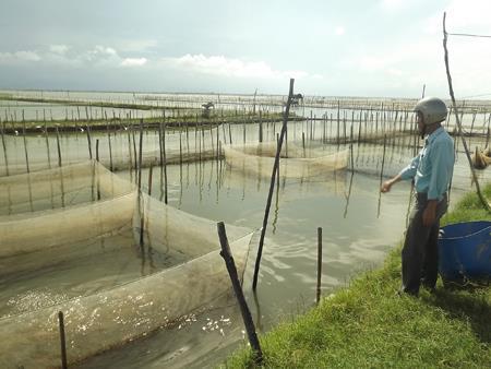 The species of aquaculture in Vietnam 2.