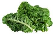 The health benefits of kale are amazing and