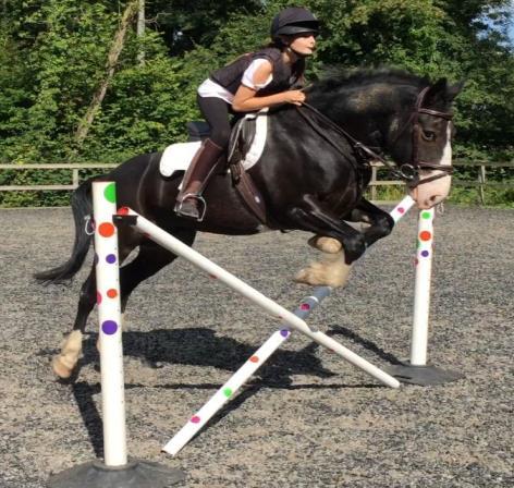 PETERSFIELD PONY CLUB HORSES FOR SALE / WANTED / LOAN CLASSIFIED ADVERTISING PAGES DISCLAIMER The Pony Club does not control or endorse any information, materials, product or services which may be