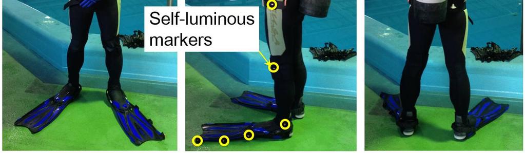 speed. Eight self-luminous markers were attached to the left side of the diver and the fin, as shown in Figure 3b. The swimming motion of the diver was filmed by two underwater cameras.