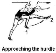 ATHLETICS OMNIBUS - HURDLING From the Athletics Omnibus of Richard Stander, South Africa 1. HIGH HURDLING (70M 110M) 1.1. GENERAL INFORMATION High hurdling is regarded as a sprinting event.