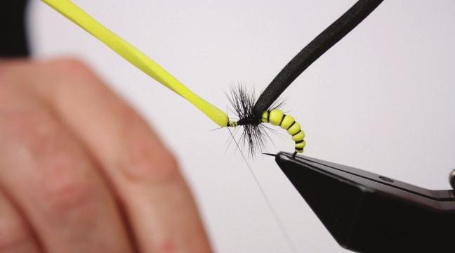 a stronger and bushier hackle.