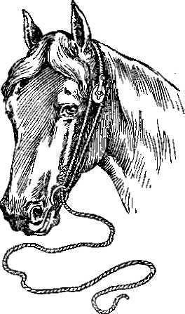 THE PULLEY BREAKING BRIDLE The Pulley Breaking Bridle is made of the best bell cord rope, five sixteenths of an inch thick. It can be placed on the horse in a moment, ready for instant use.