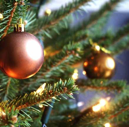 It wouldn t be Christmas without a Christmas tree, now would it? That s why at Argyll Holidays we ve thought of everything!