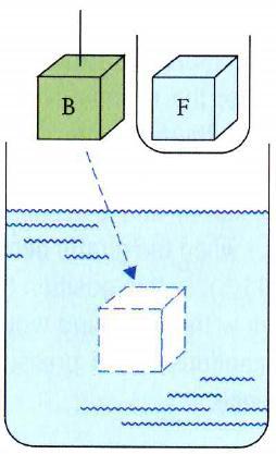 Buoyancy: Archimedes Principle Step 1: Remove F from the beaker and place it in a small container, leaving an empty bubble of the same size in the beaker.