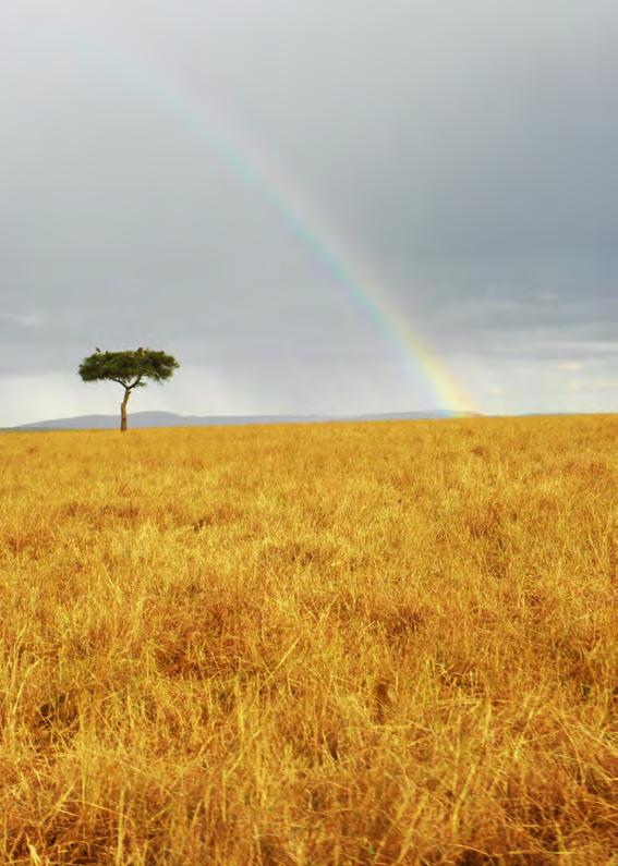 DRY ASSOCIATES LTD Investment Group Offering you a rainbow of opportunities.