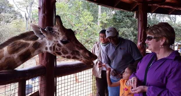 MEAL PLAN-B & B Kosen and his daughter feeding the Giraffe at the giraffe center Aug 2014 DAY 2: OCT 31 ST CITY TOUR AND OTHER ATTRACTIONS Whether you re hand-feeding gentle Rothschild giraffes,