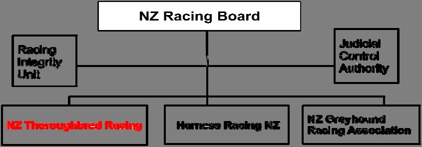 NZTR NZTR exists to provide the thoroughbred code with leadership and direction by: a) Ensuring that the thoroughbred code is effectively administered; b) Determining its strategic direction; and c)