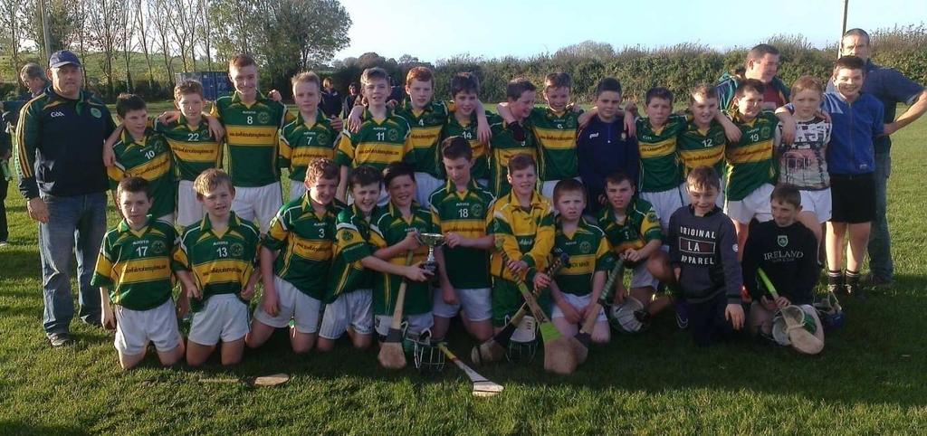 2015 - U13 team that won the Division 3 County Hurling final.