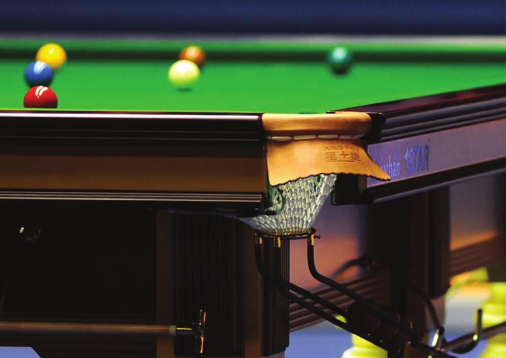 ENGLISH PARTNERSHIP FOR SNOOKER AND BILLIARDS Whole Sport Development Plan 2016-2020 Bringing together: Professional Snooker
