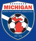 MSYSA Sanctioned The league will be sanctioned by the Michigan State Youth Soccer Association.