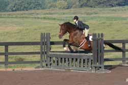 Horses should always maintain the correct lead for the direction they are traveling on course, and all lead changes performed should be flying (simple lead changes are penalized).