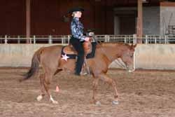 There is no hesitation between the stop and the rollback. The horse is also asked to perform circles, either large and fast or slow and small.